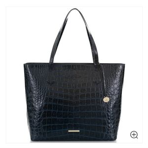 Misha Bluebonnet Veil Brahmin Handbag and Wallet